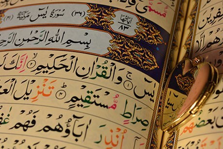 learn to read quran with tajweed